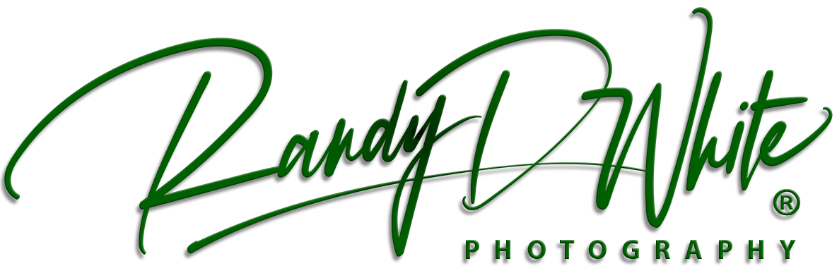 Green Gradient Logo Graphic for Randy D White